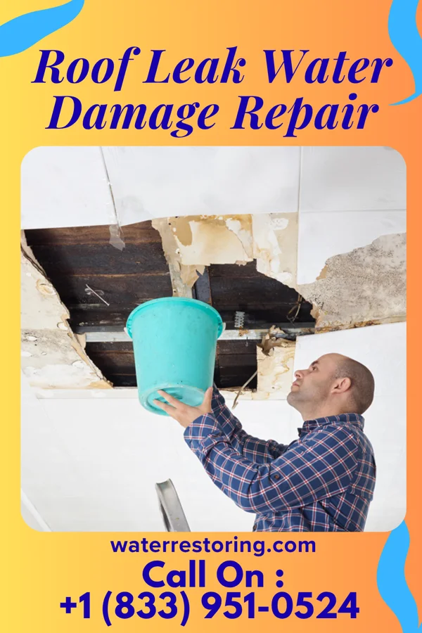 Roof Leak Water Damage Repair in Landusky, MT